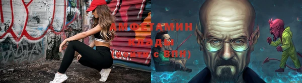сатива Балахна