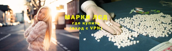 сатива Балахна
