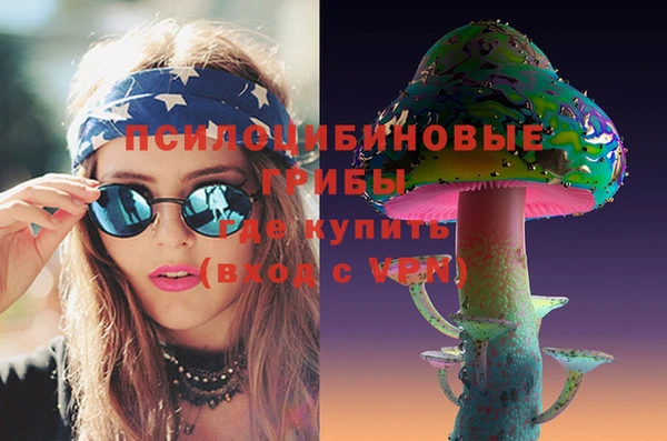 сатива Балахна